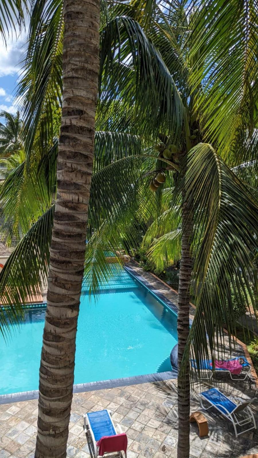 Charming Apartment Close To Beach & Amenities - Appartement De Charme Proche Plage Flic-en-Flacq エクステリア 写真