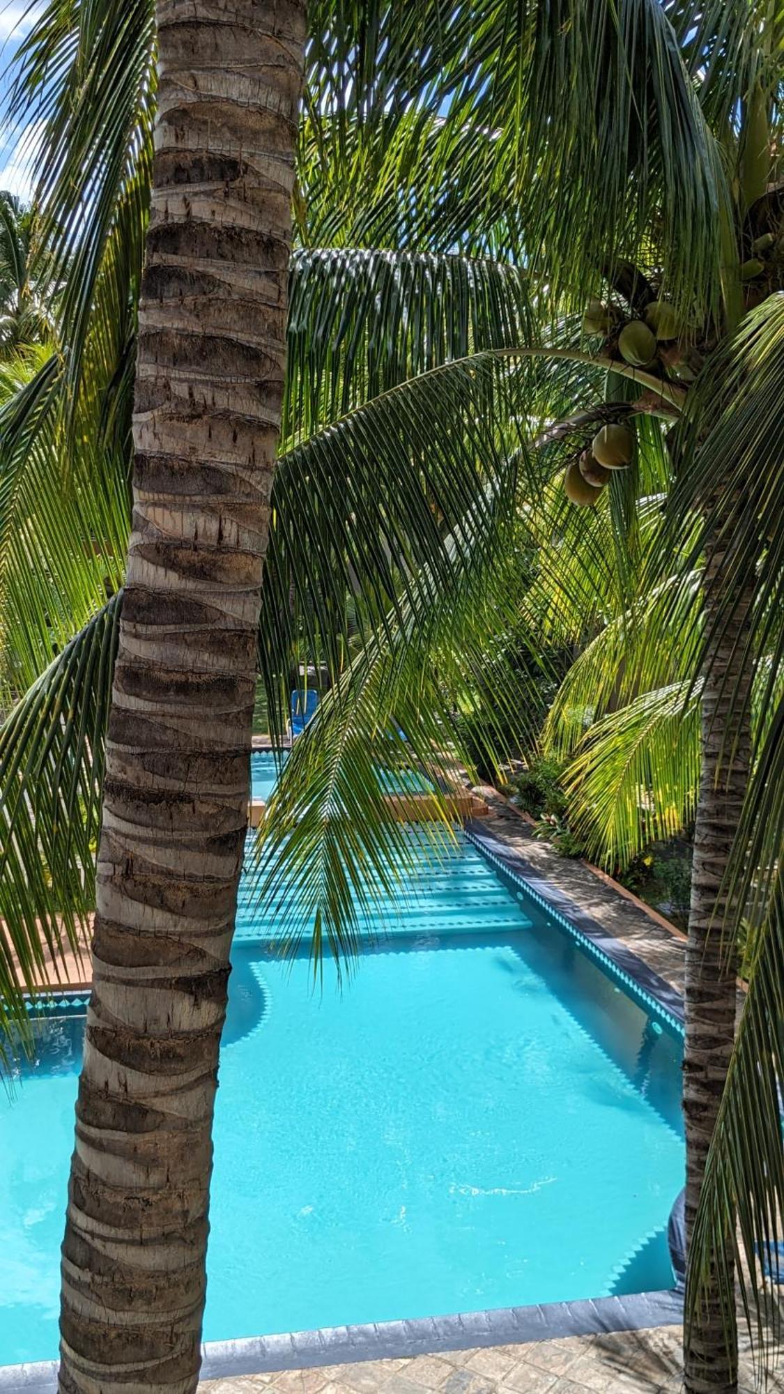 Charming Apartment Close To Beach & Amenities - Appartement De Charme Proche Plage Flic-en-Flacq エクステリア 写真